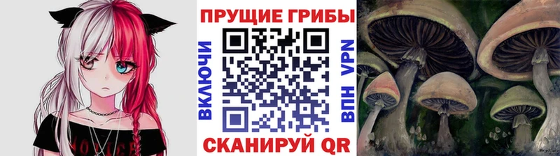 закладки  Торжок  Галлюциногенные грибы ЛСД 