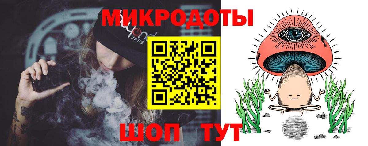 Галлюциногенные грибы Psilocybe Торжок