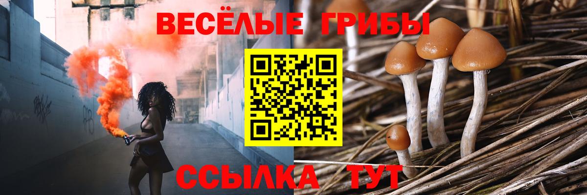 АМФЕТАМИН Торжок